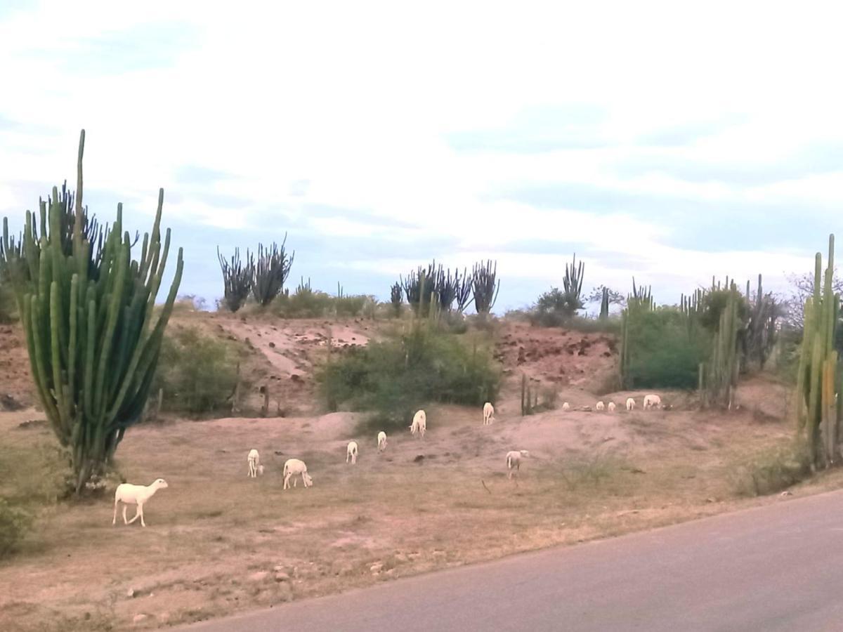 Avani Del Desierto Villavieja Exteriér fotografie